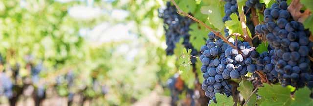 电话轰在线轰炸